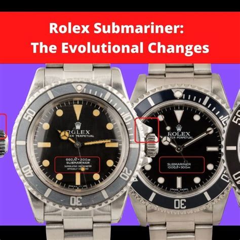 rolex investor relations|is Rolex a public company.